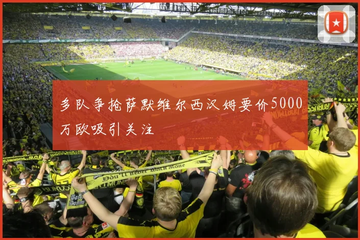 多队争抢萨默维尔西汉姆要价5000万欧吸引关注