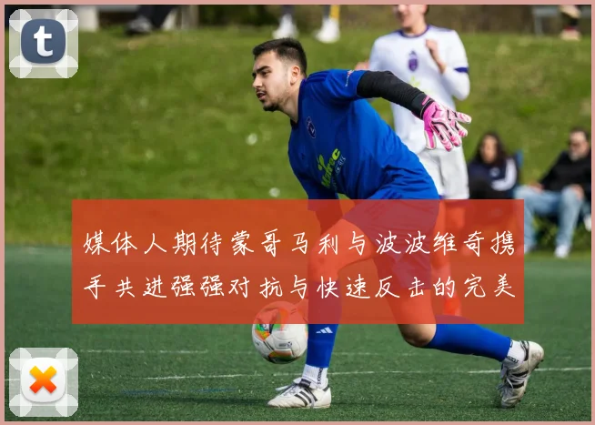 媒体人期待蒙哥马利与波波维奇携手共进强强对抗与快速反击的完美结合